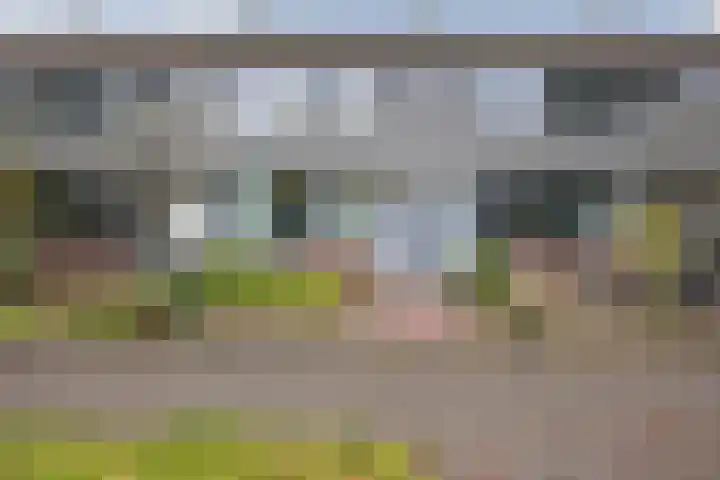 Robijnstraat 10 Groningen thumbnail 47
