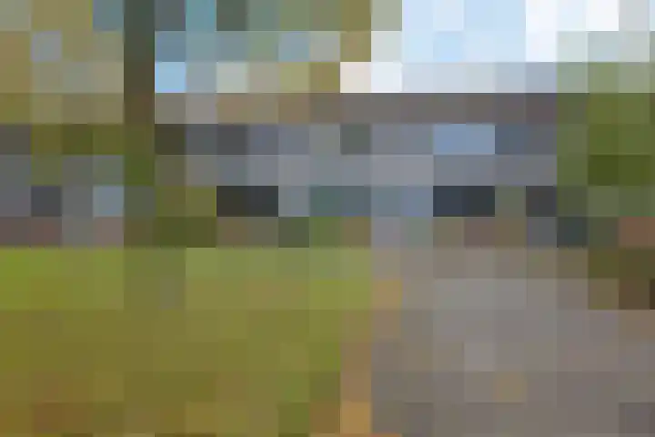 Robijnstraat 10 Groningen thumbnail 6