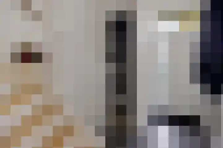 Robijnstraat 10 Groningen thumbnail 9