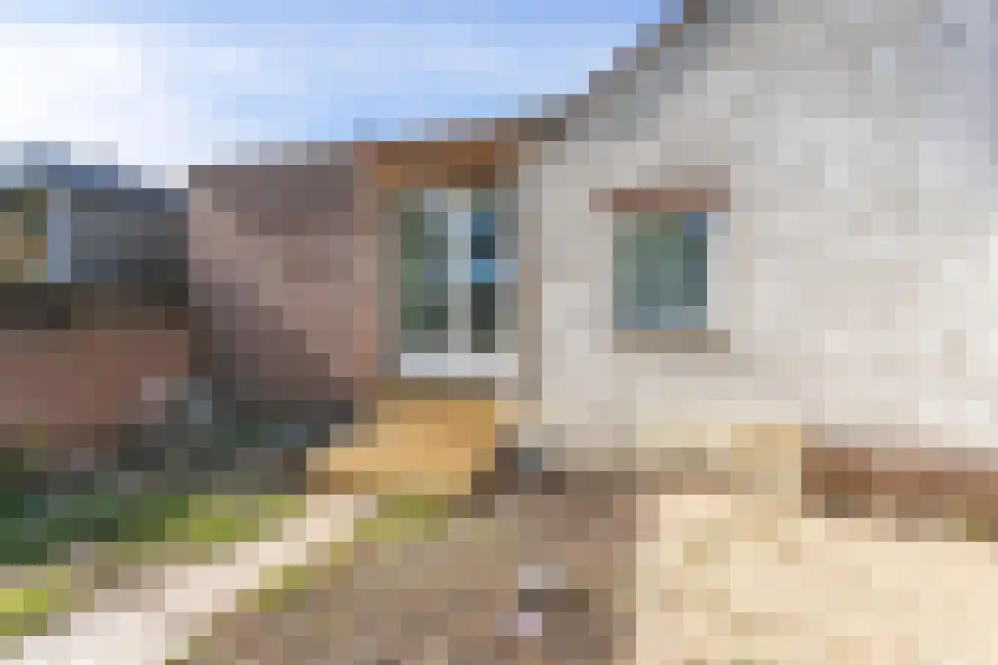 Robijnstraat 14 Heerlen thumbnail 34