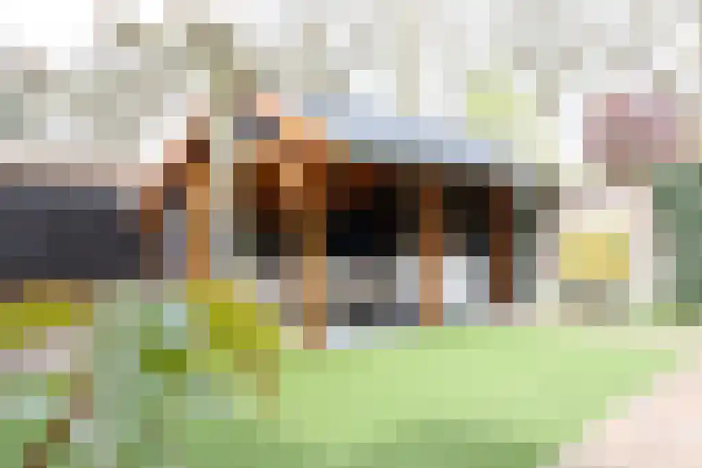 Robijnstraat 15 Enschede thumbnail 31