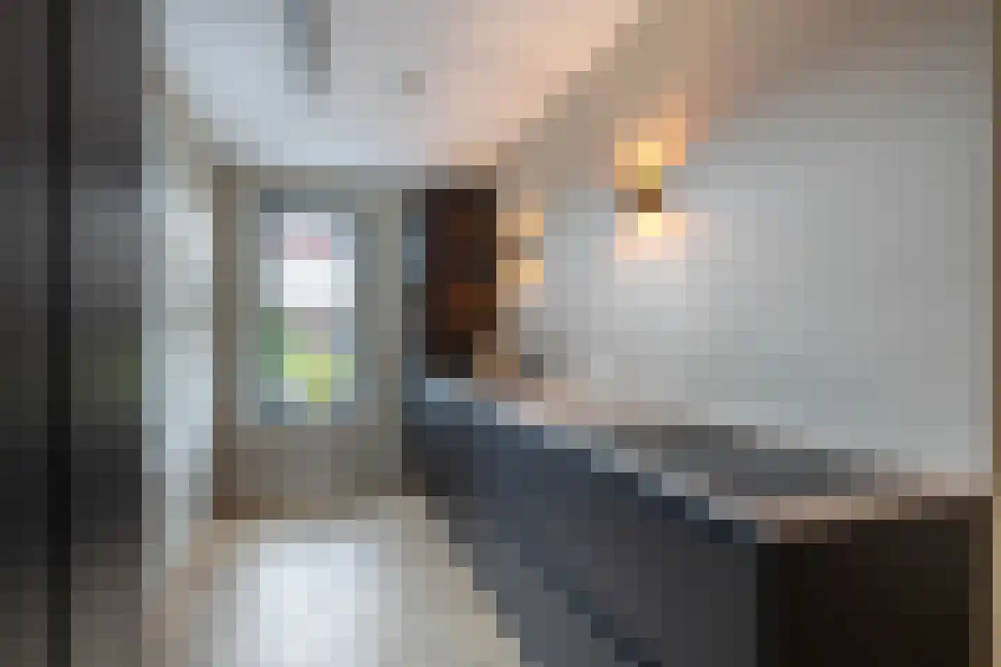 Robijnstraat 22 a Almelo thumbnail 4