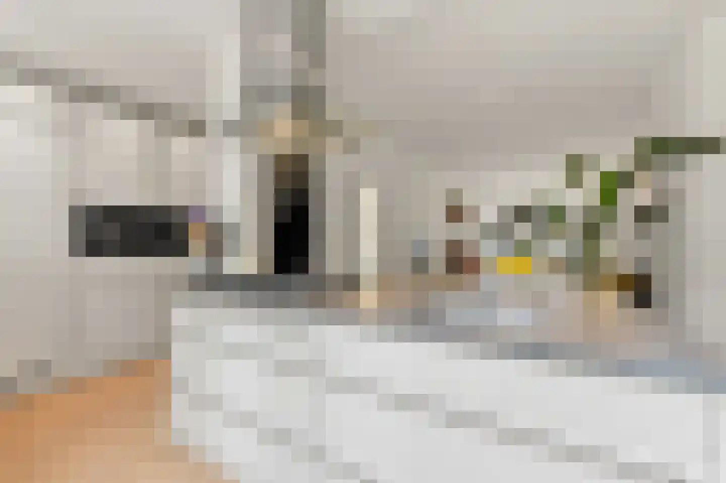 Robijnstraat 24 A Rotterdam thumbnail 12
