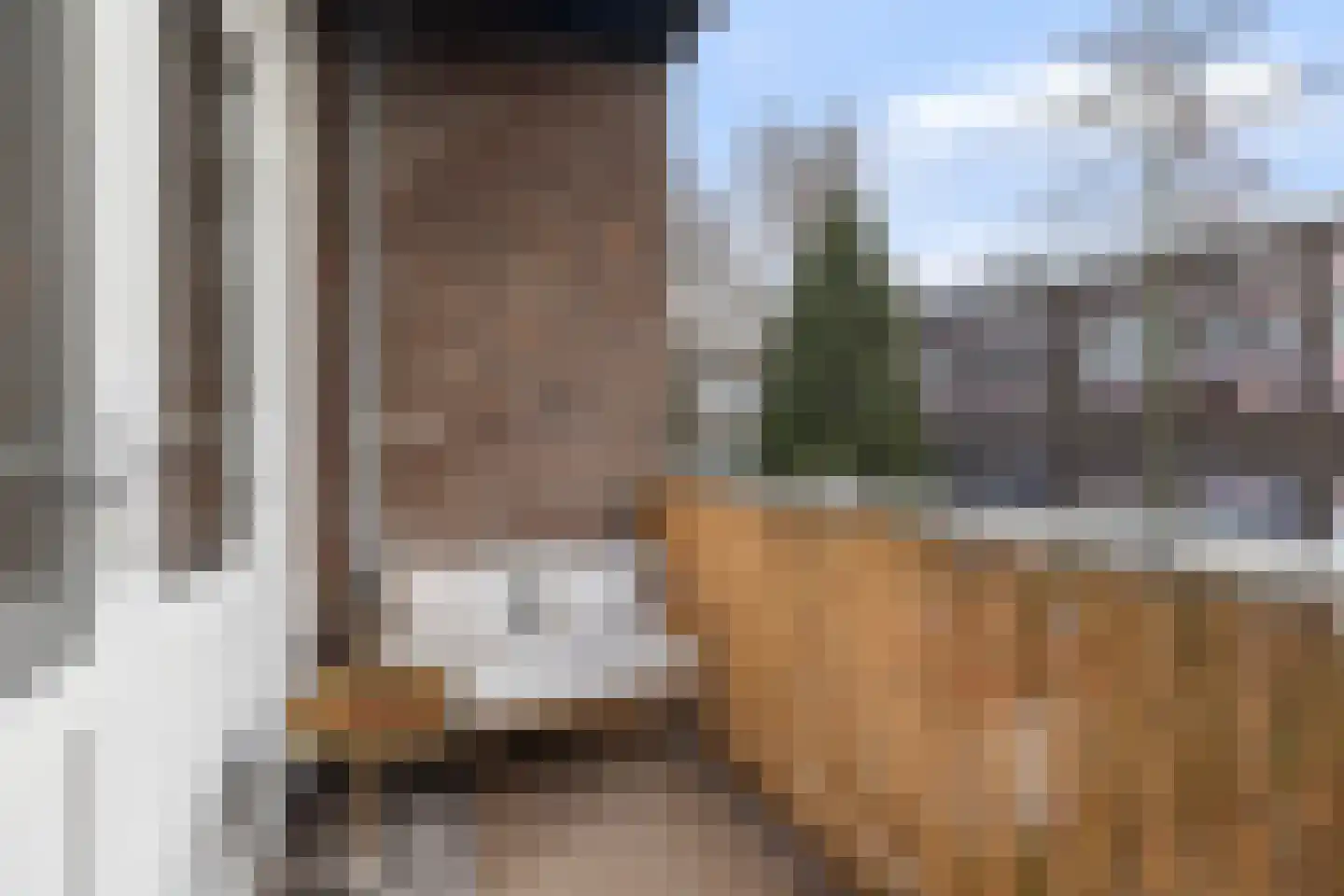 Robijnstraat 26 B Rotterdam thumbnail 8