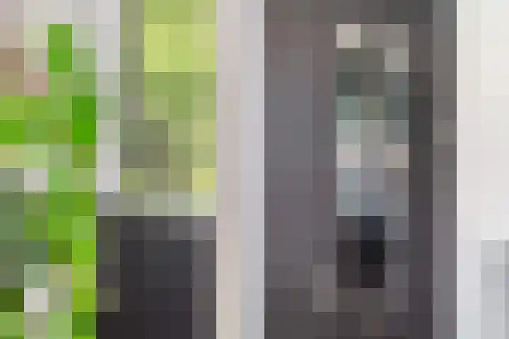 Robijnstraat 3 C Rotterdam thumbnail 15