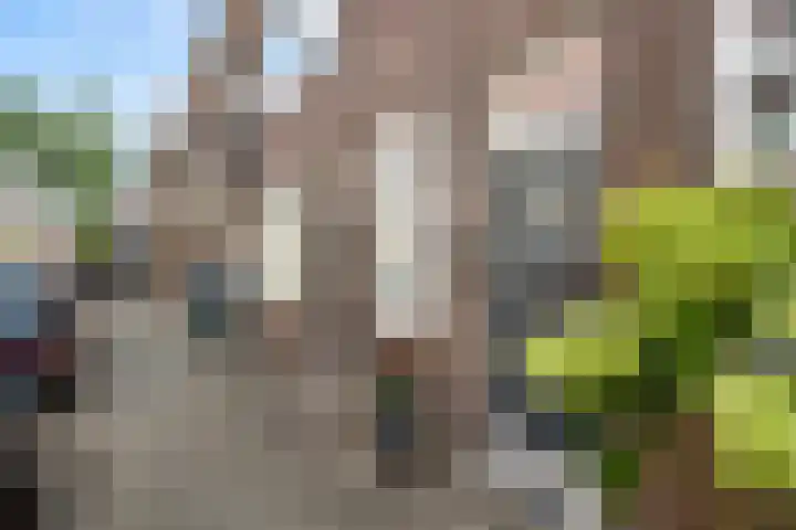 Robijnstraat 3 C Rotterdam thumbnail 6