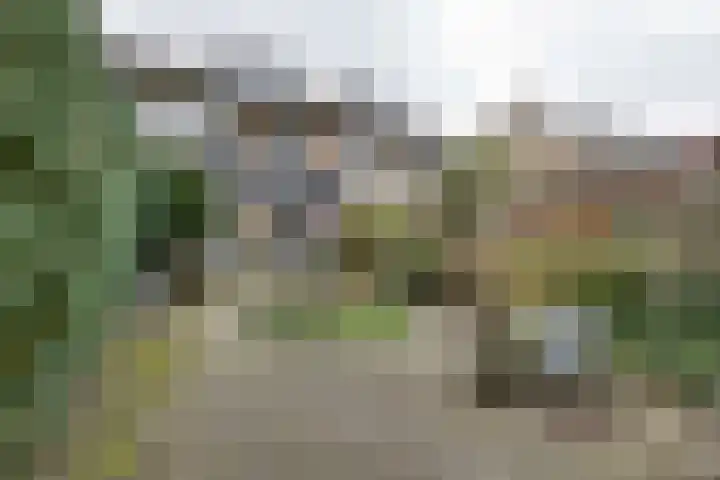 Robijnstraat 37 Apeldoorn thumbnail 28