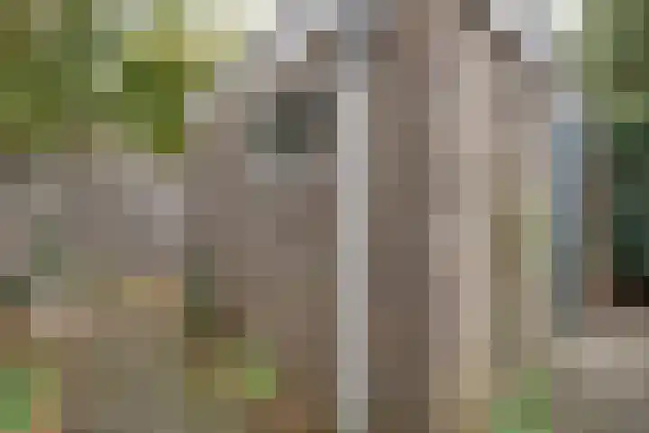 Robijnstraat 37 Apeldoorn thumbnail 31