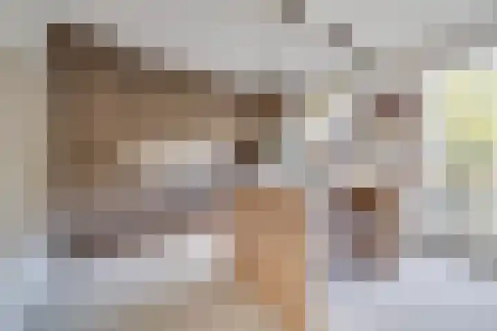 Robijnstraat 37 Apeldoorn thumbnail 9