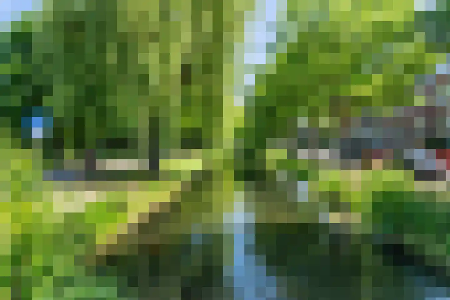 Robijnstraat 6 B Rotterdam thumbnail 5