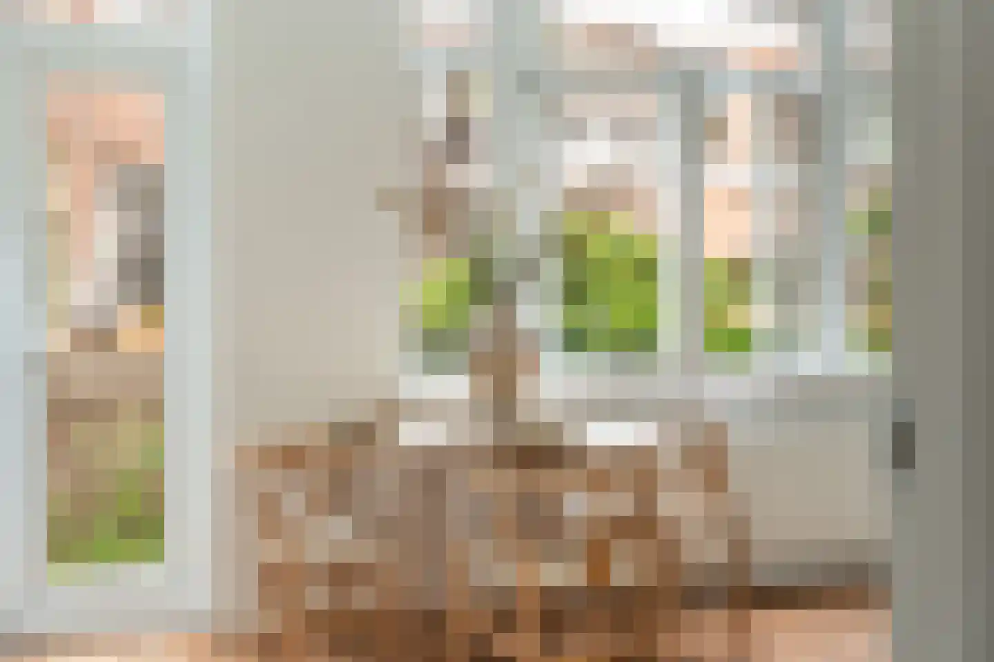 Robijnstraat 6 B Rotterdam thumbnail 7