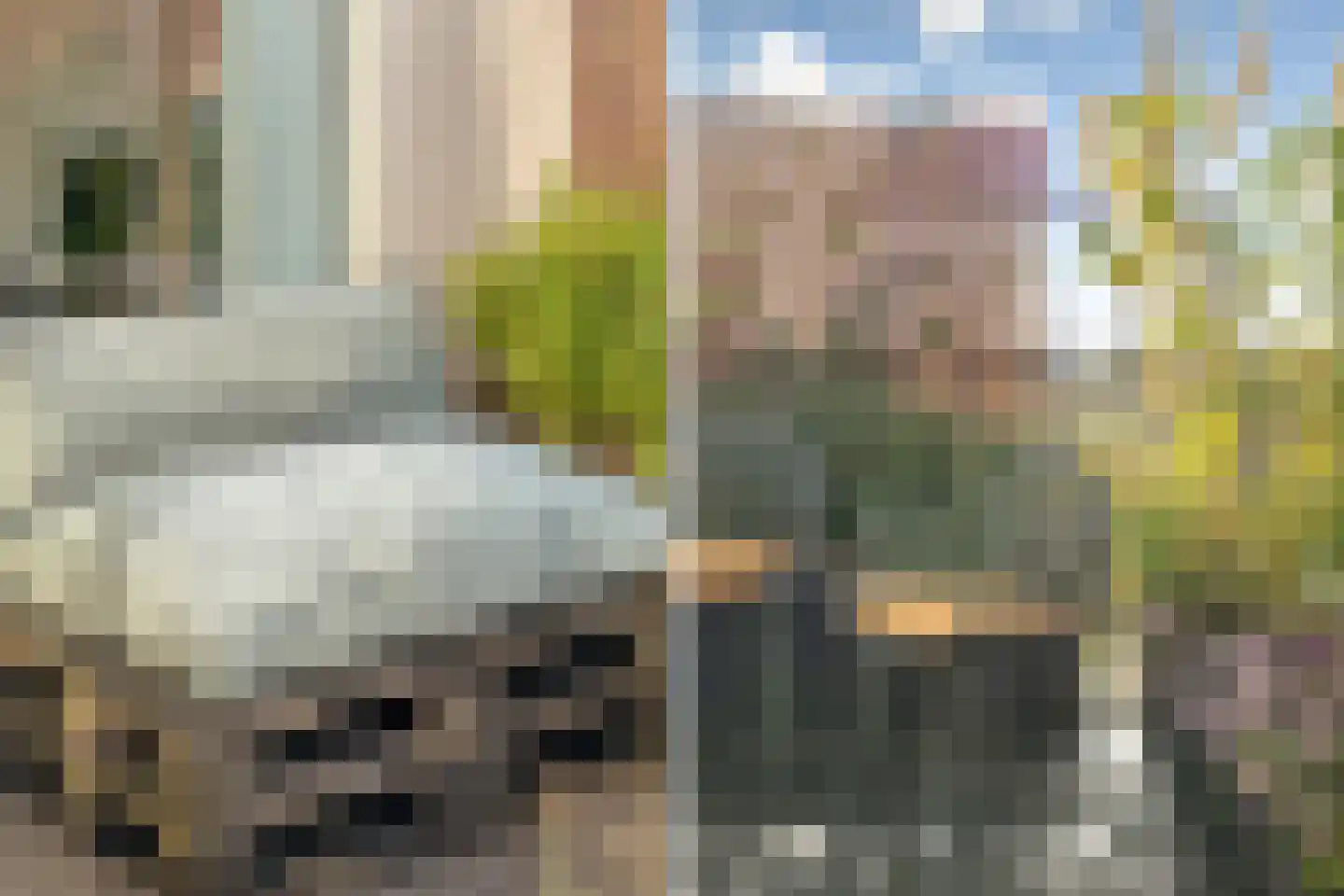 Robijnstraat 9 B BOL Rotterdam thumbnail 32