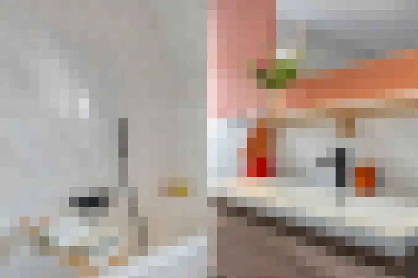 Robijnstraat 9 B BOL Rotterdam thumbnail 38