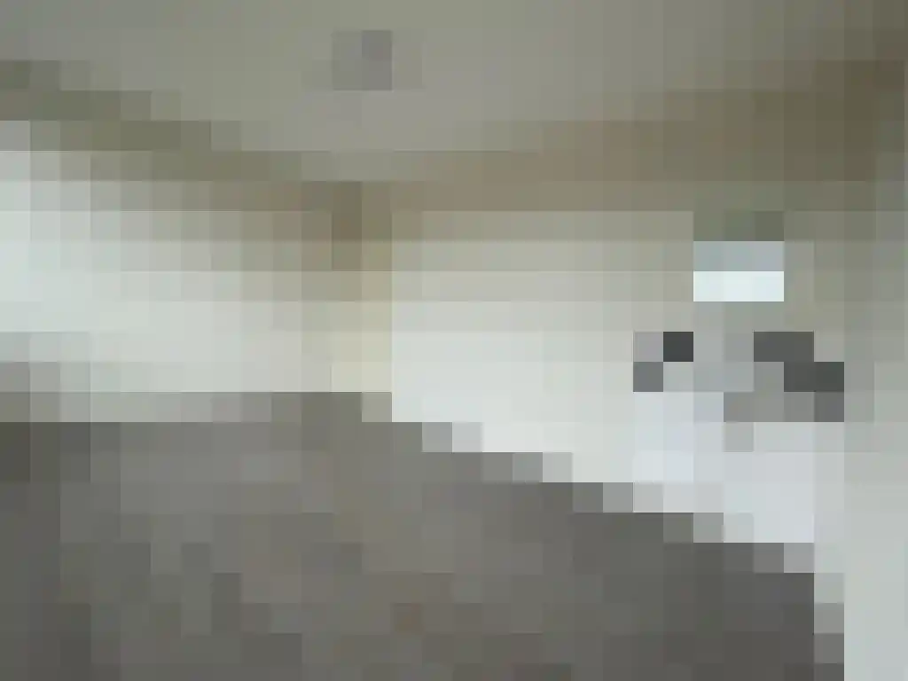 Robijnstraat Groningen thumbnail 4