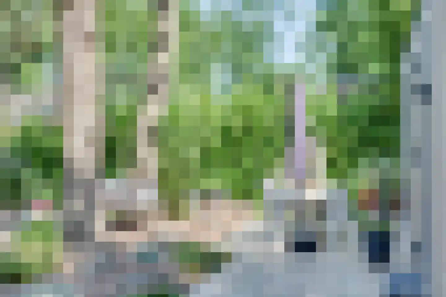 Robijnsweg 18 Sleeuwijk thumbnail 15