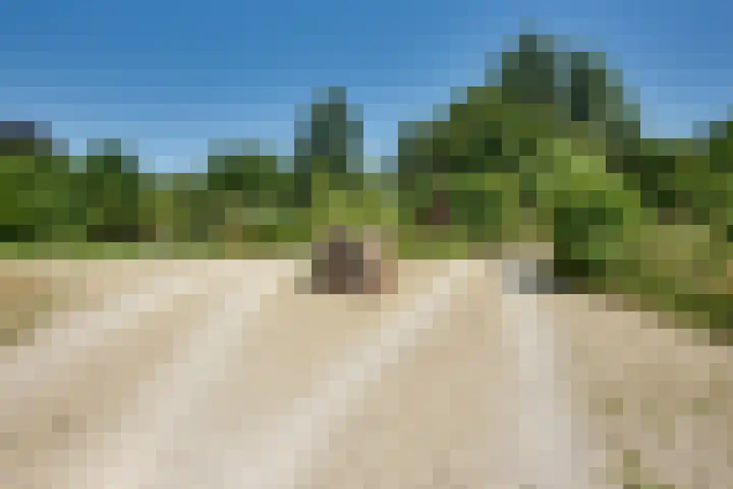 Robijnsweg 18 Sleeuwijk thumbnail 17