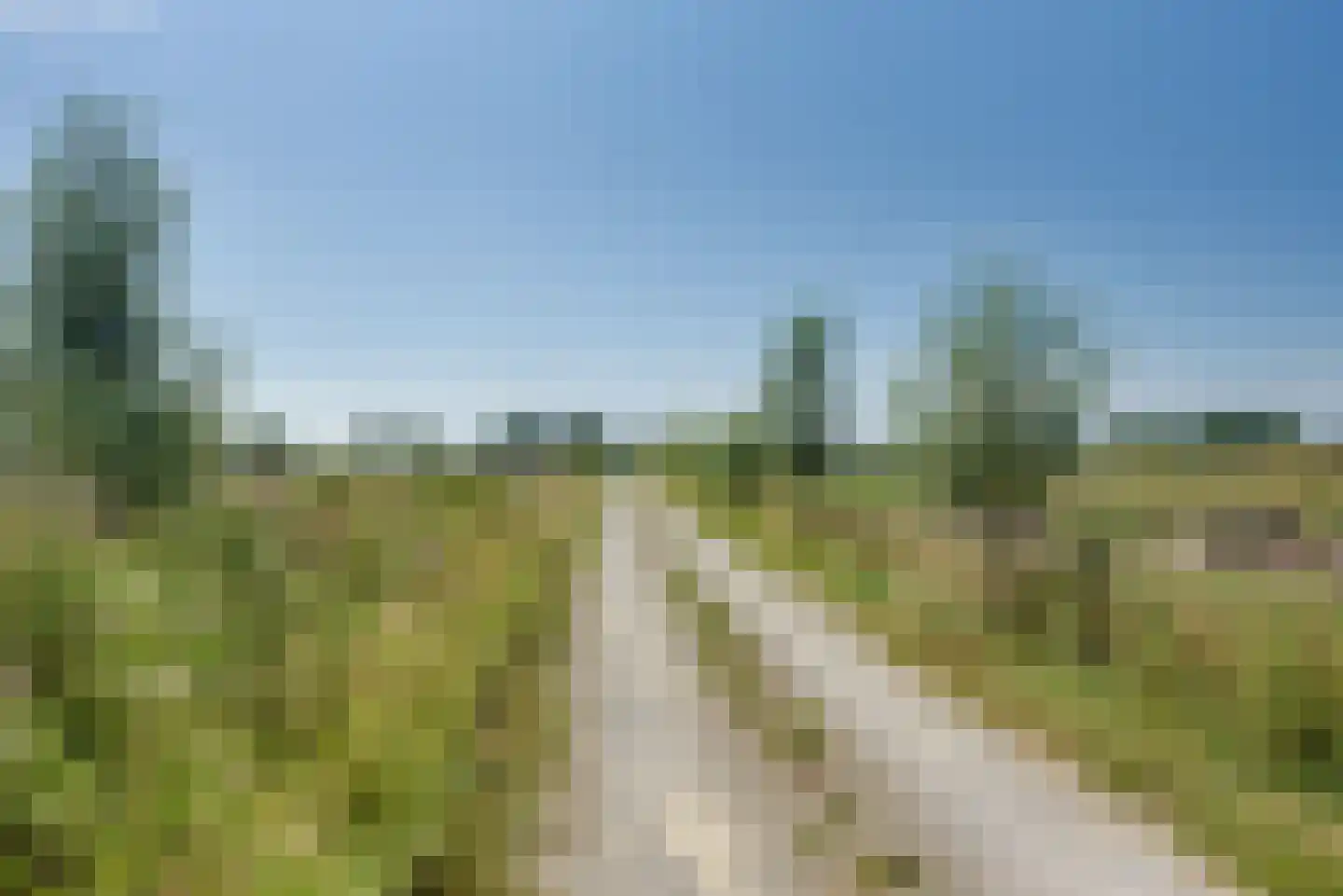 Robijnsweg 18 Sleeuwijk thumbnail 18