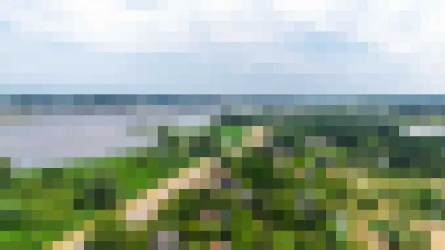 Robijnsweg 18 Sleeuwijk thumbnail 20