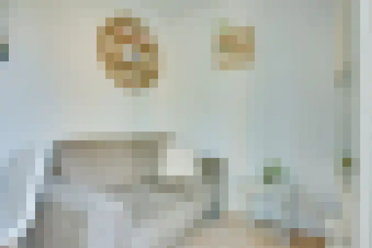 Robijnsweg 18 Sleeuwijk thumbnail 7