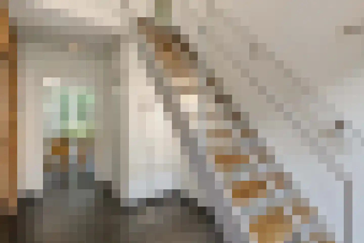 Robijnweg 16 Amersfoort thumbnail 9