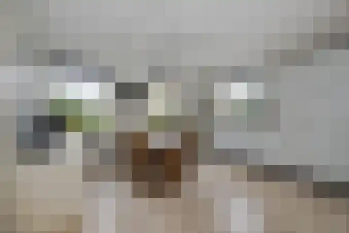 Robiniahof 18 Leimuiden thumbnail 15