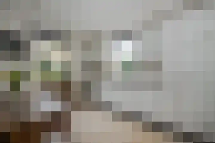 Robiniahof 18 Leimuiden thumbnail 16