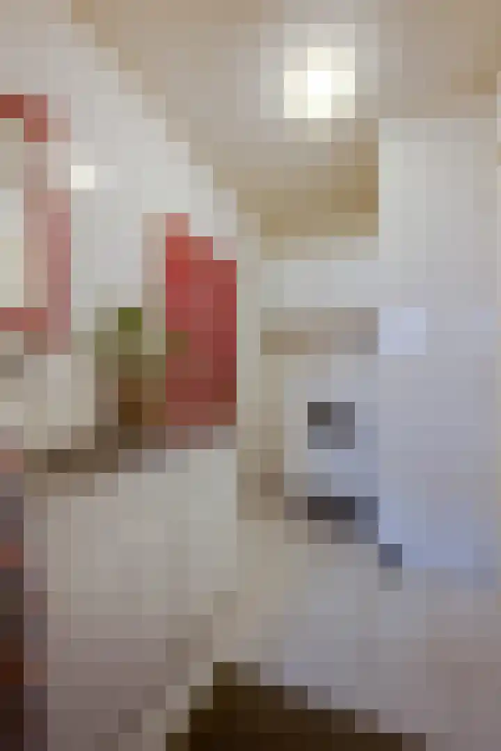 Robiniahof 18 Leimuiden thumbnail 17