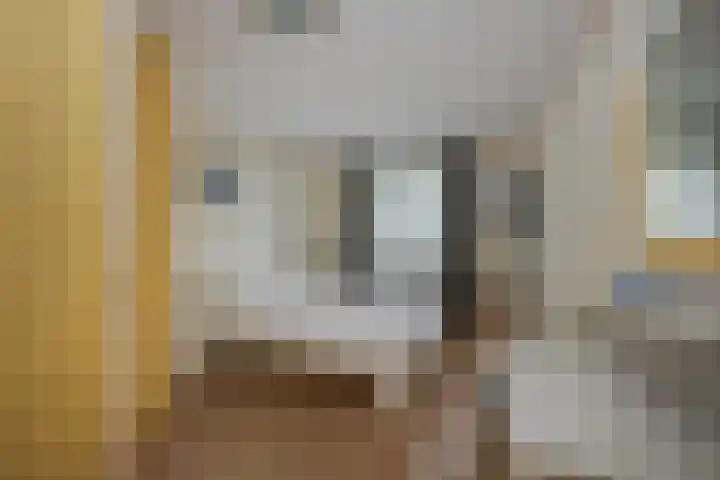 Robiniahof 18 Leimuiden thumbnail 21