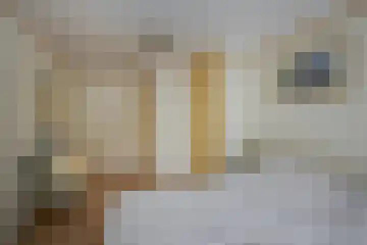 Robiniahof 18 Leimuiden thumbnail 22