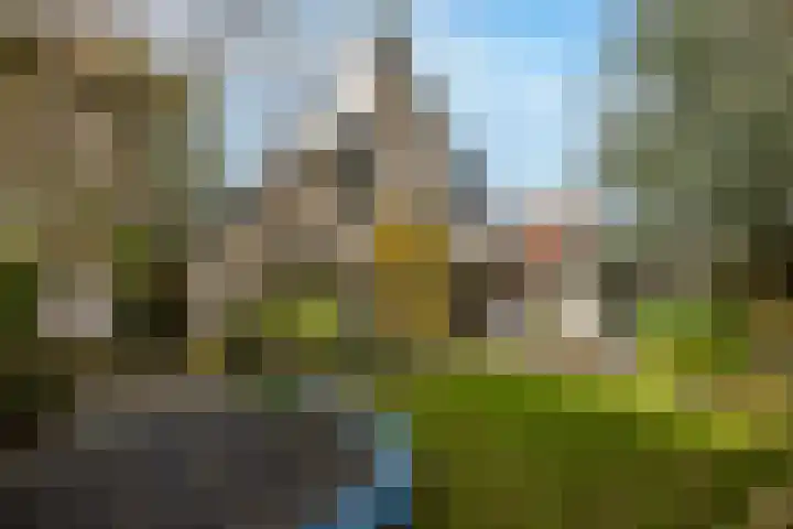 Robiniahof 18 Leimuiden thumbnail 30