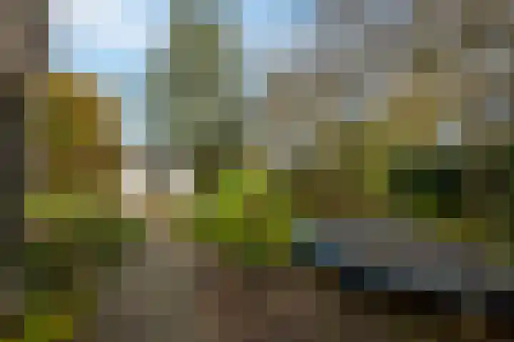 Robiniahof 18 Leimuiden thumbnail 31
