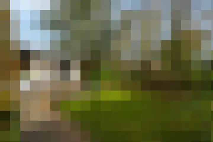 Robiniahof 18 Leimuiden thumbnail 32