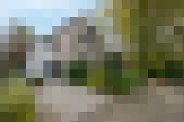 Robiniahof 18 Leimuiden thumbnail 34