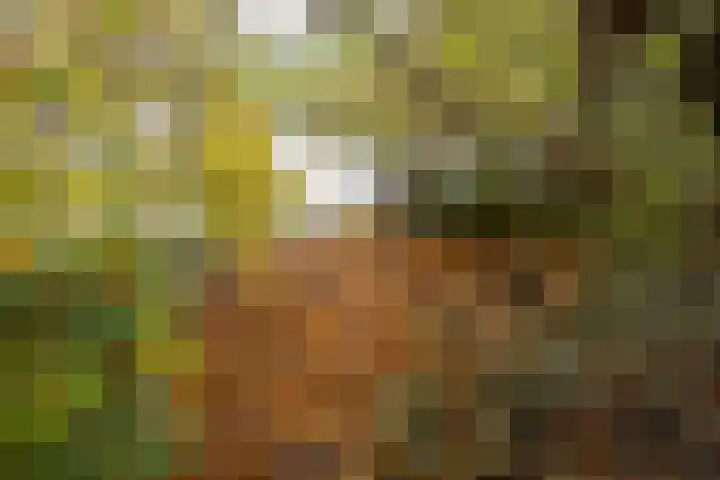 Robiniahof 18 Leimuiden thumbnail 35