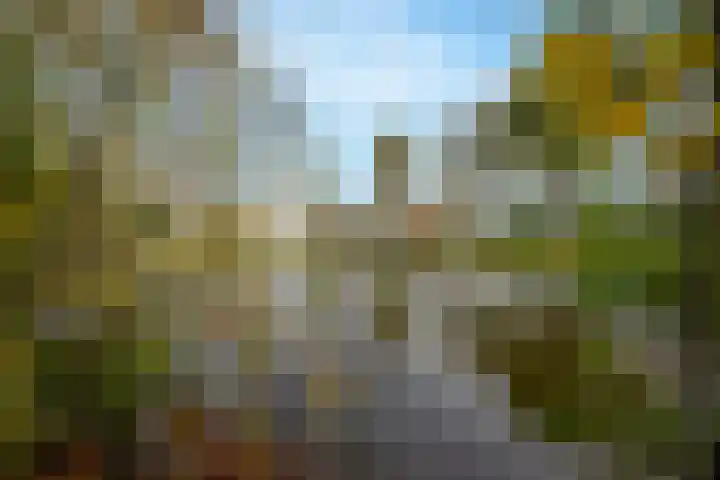 Robiniahof 18 Leimuiden thumbnail 36