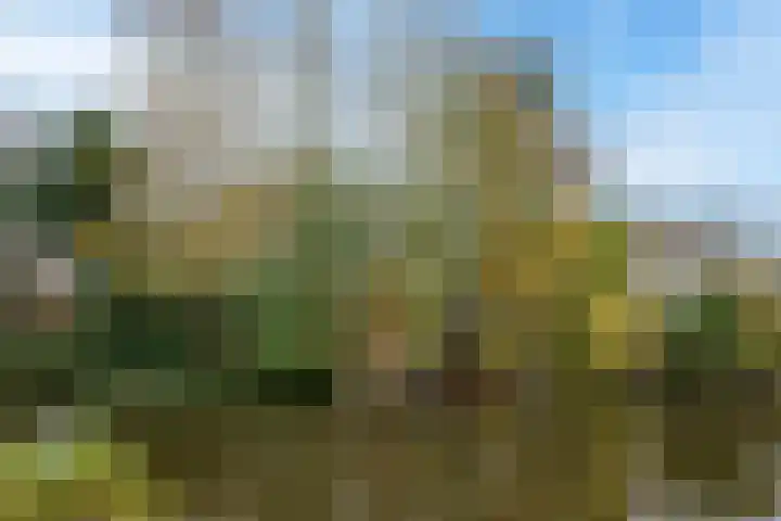 Robiniahof 18 Leimuiden thumbnail 37