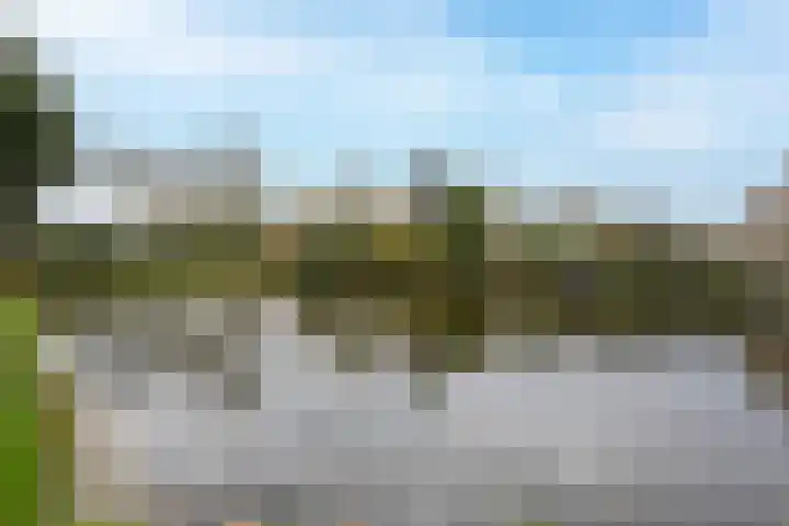 Robiniahof 18 Leimuiden thumbnail 38