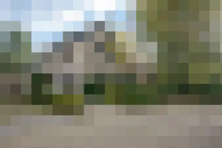 Robiniahof 18 Leimuiden thumbnail 5