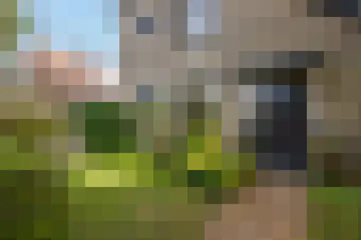 Robiniahof 18 Leimuiden thumbnail 6