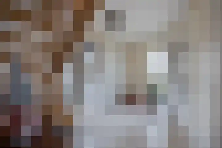 Robiniahof 18 Leimuiden thumbnail 8
