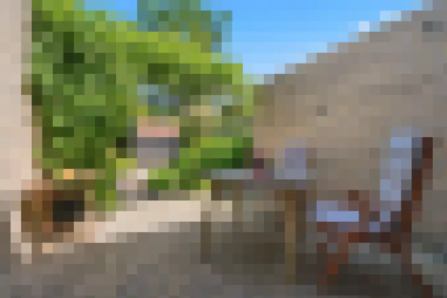 Robiniahof 31 's-Gravenpolder thumbnail 32