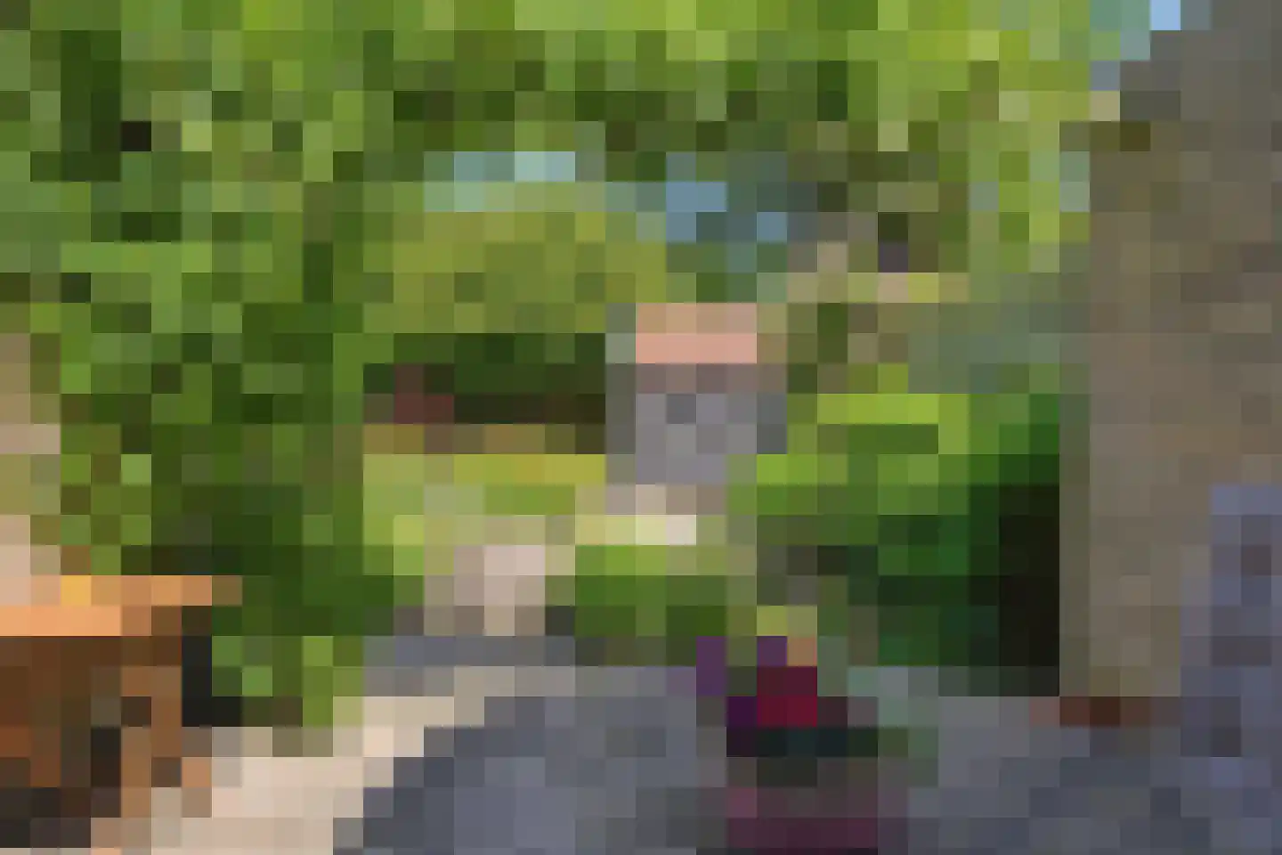 Robiniahof 31 's-Gravenpolder thumbnail 33
