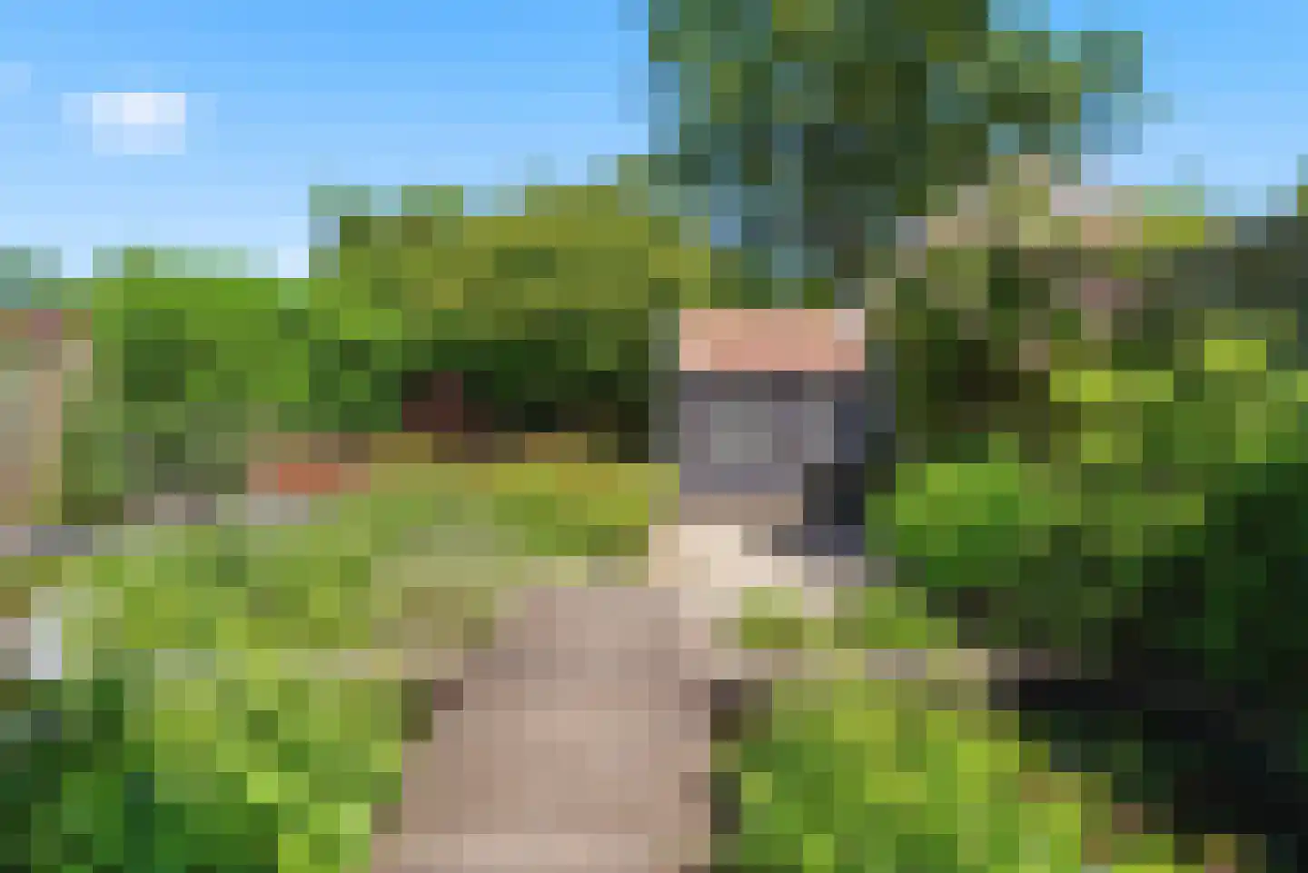 Robiniahof 31 's-Gravenpolder thumbnail 34