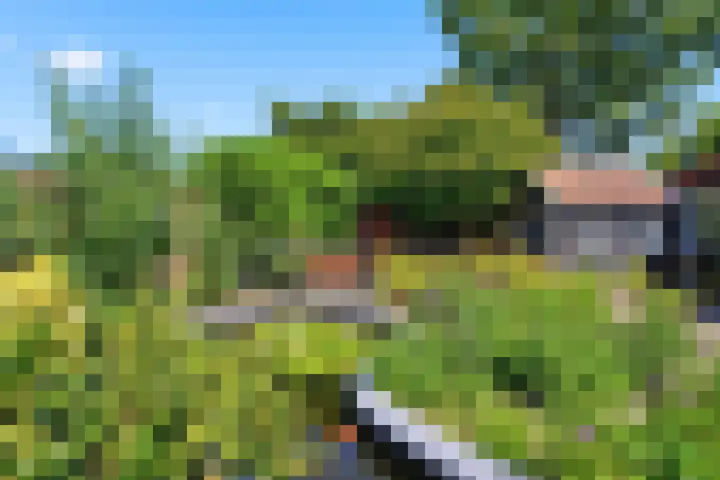 Robiniahof 31 's-Gravenpolder thumbnail 37