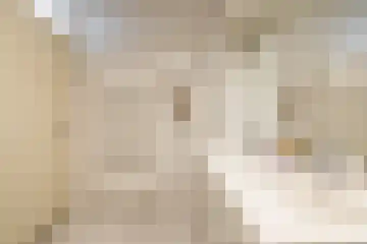 Robiniastate 11 Purmerend thumbnail 32