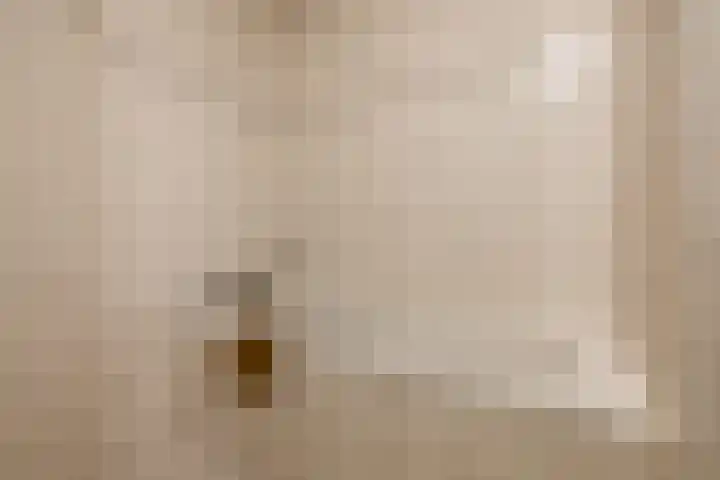 Robiniastate 11 Purmerend thumbnail 35
