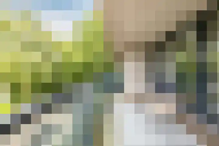 Robiniastate 11 Purmerend thumbnail 38