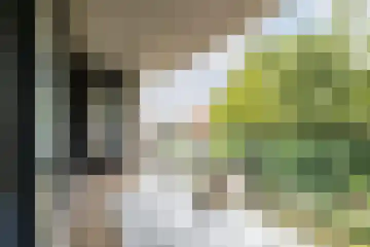 Robiniastate 11 Purmerend thumbnail 39