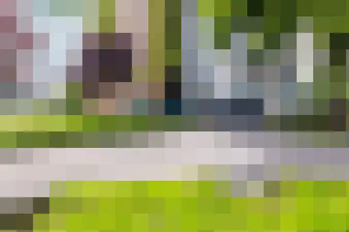 Robiniastate 11 Purmerend thumbnail 42