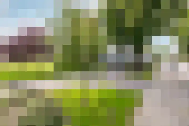 Robiniastate 11 Purmerend thumbnail 43